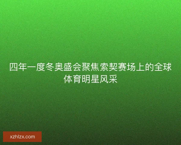四年一度冬奥盛会聚焦索契赛场上的全球体育明星风采
